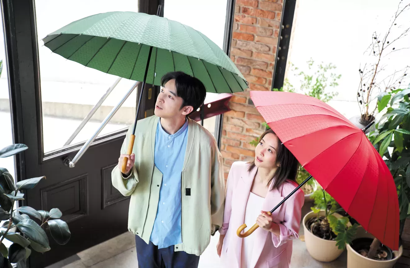 超軽量24本骨傘 江戸